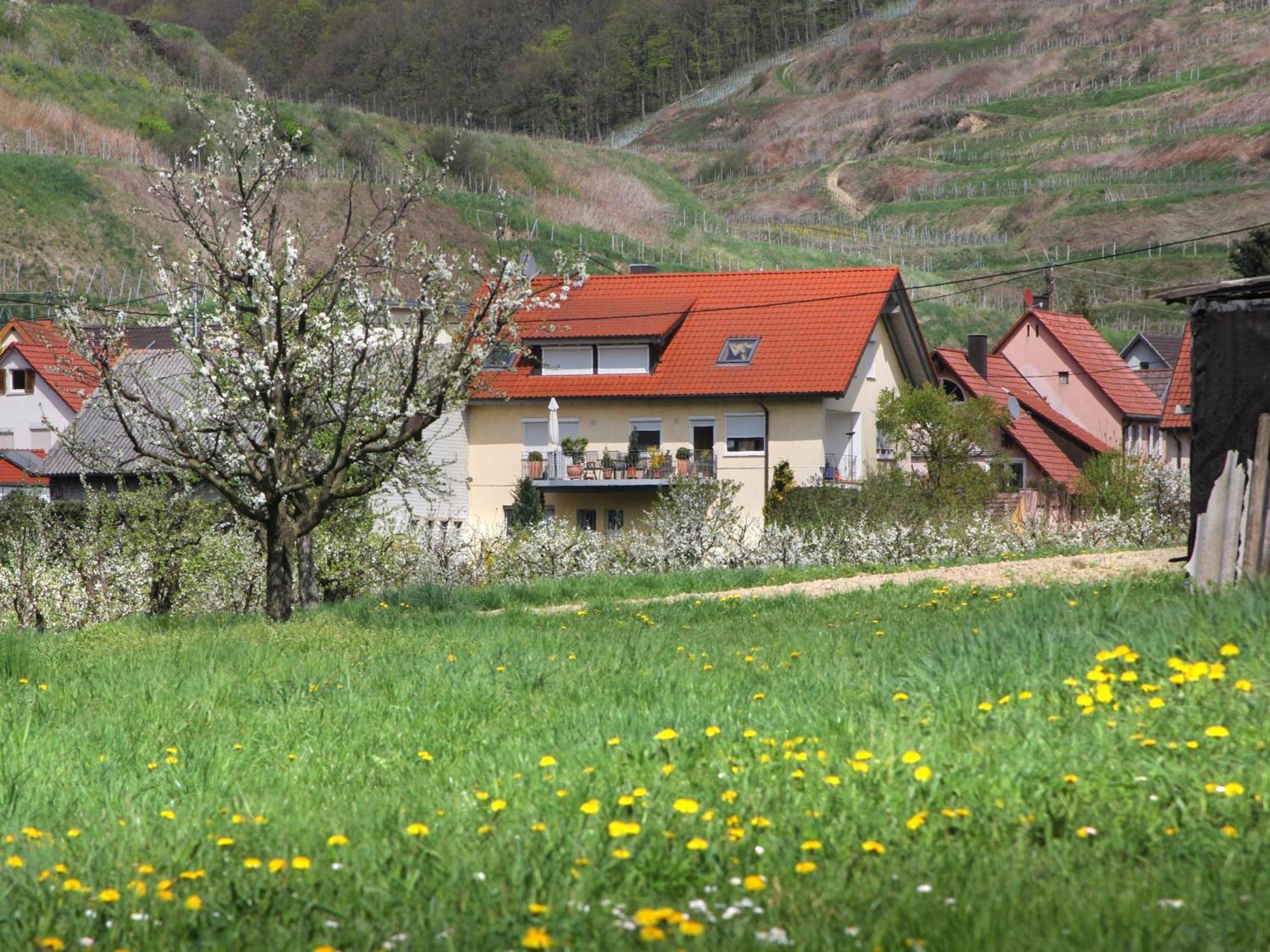 Ferienwohnung Graf Vogtsburg Exterior photo